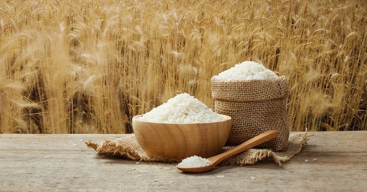 Rice Exporter in India Watan Global & Vinayak Sales
