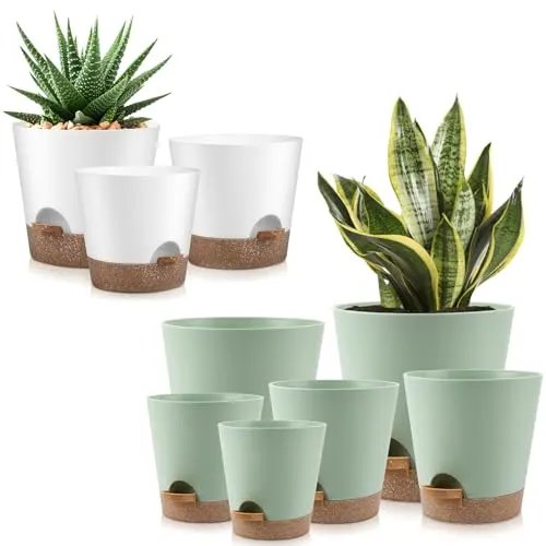 Self Watering Pots for Plants