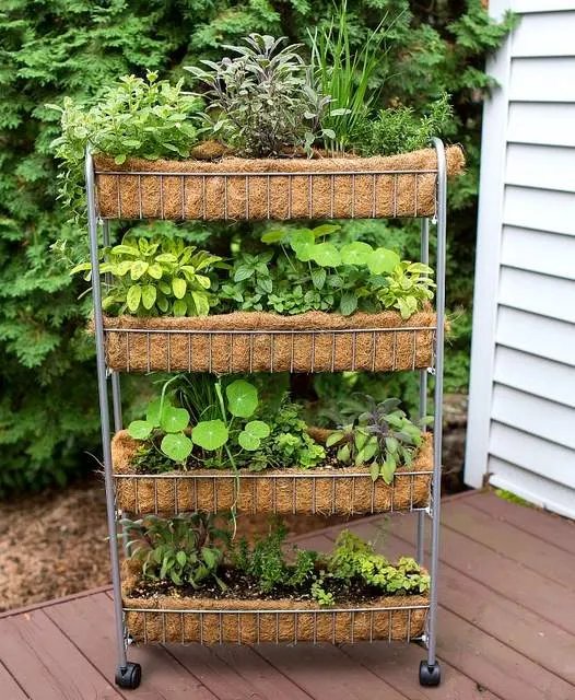 Wall Mounted Vertical Planter Rack