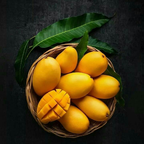 Mango