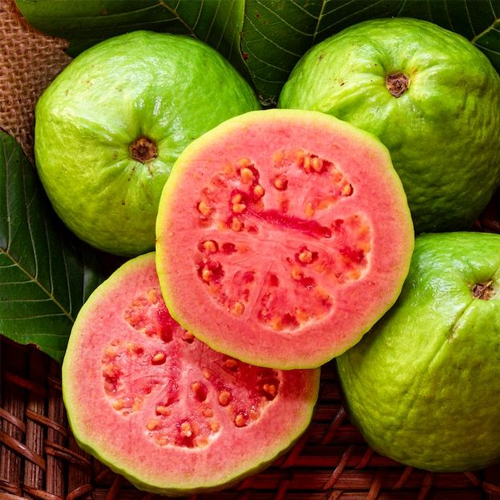 Guava