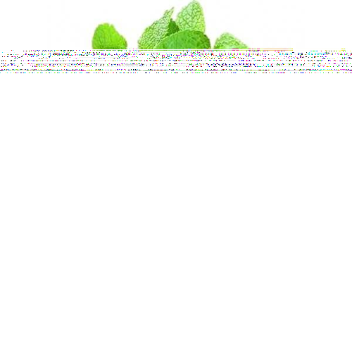 Mint Leaves (Pudina)