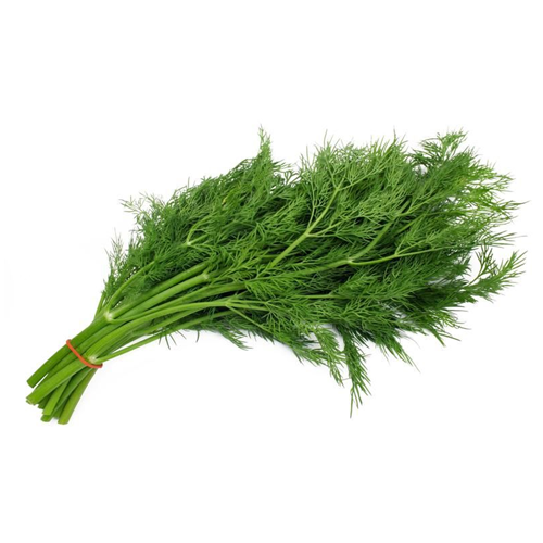 Dill Leaves (Suva Bhaji)
