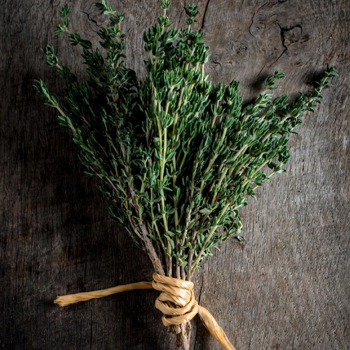Thyme