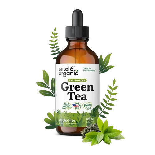 Green Tea Extract