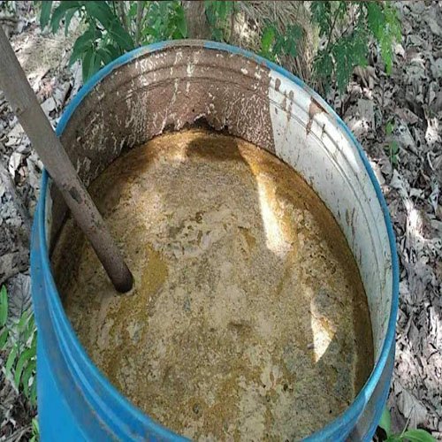 Liquid Cow Dung Fertilizer