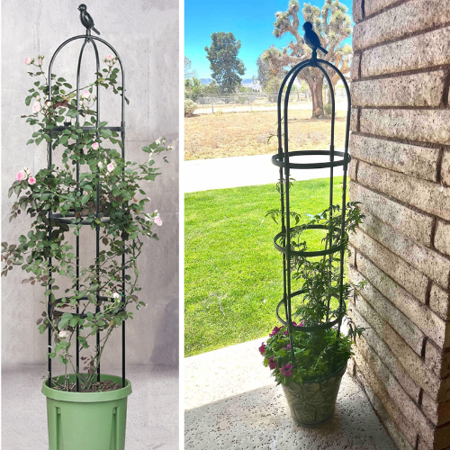 Heavy Duty Plant Trellis Support