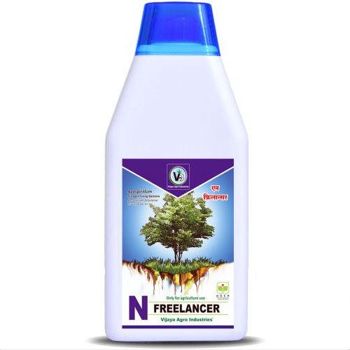 Azospirillum brasilense