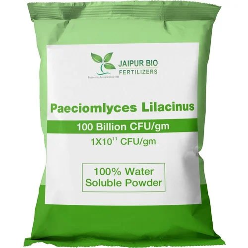 Pisolithus tinctoriu