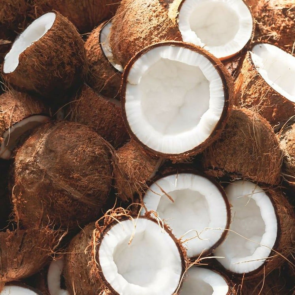 Brown Coconut