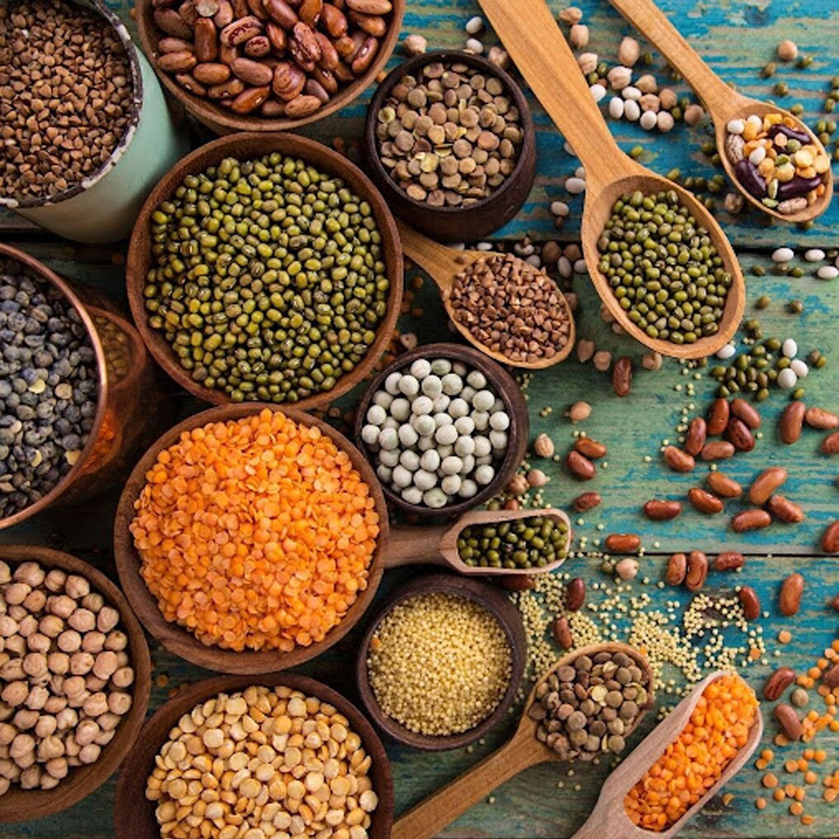 all type of pulses