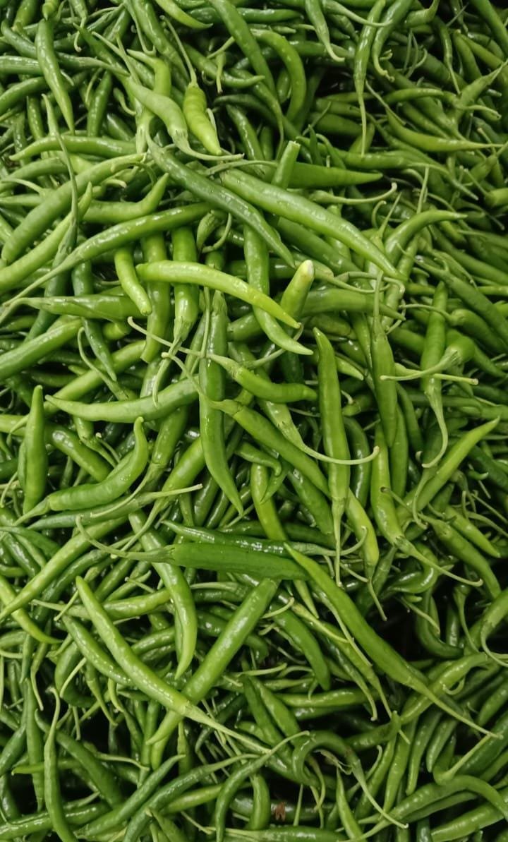 Green Chilli