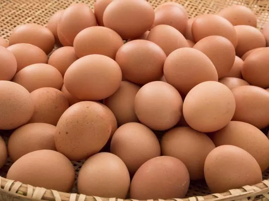 Organic Eggs