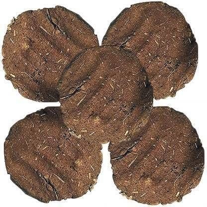 Cow Dung Cakes
