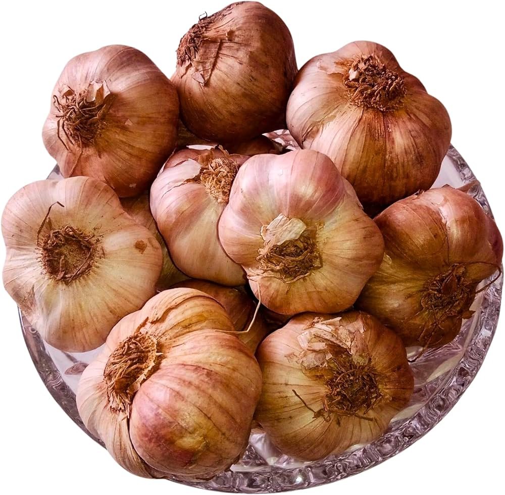Fresh Garlic