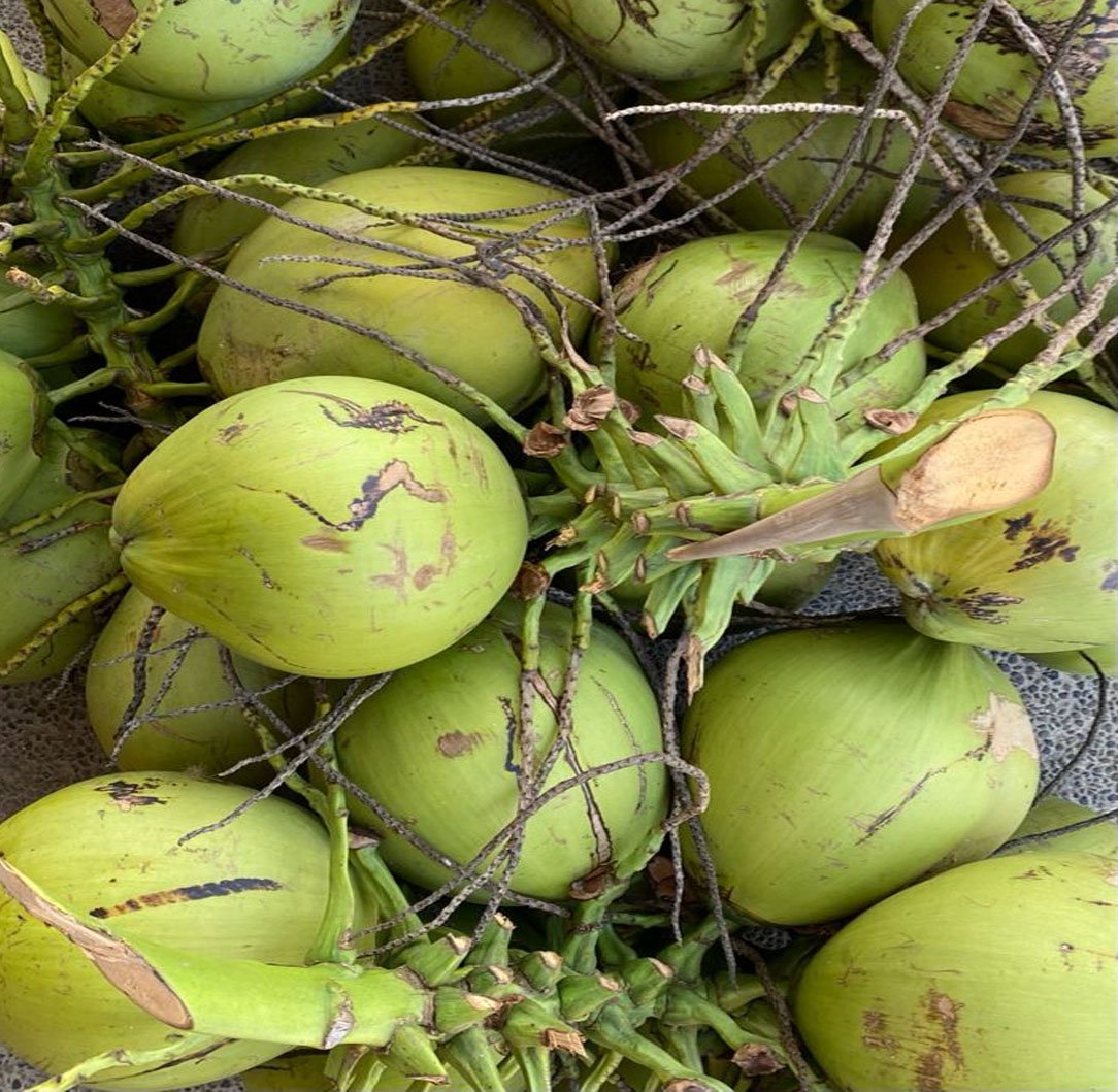 Tender coconut 