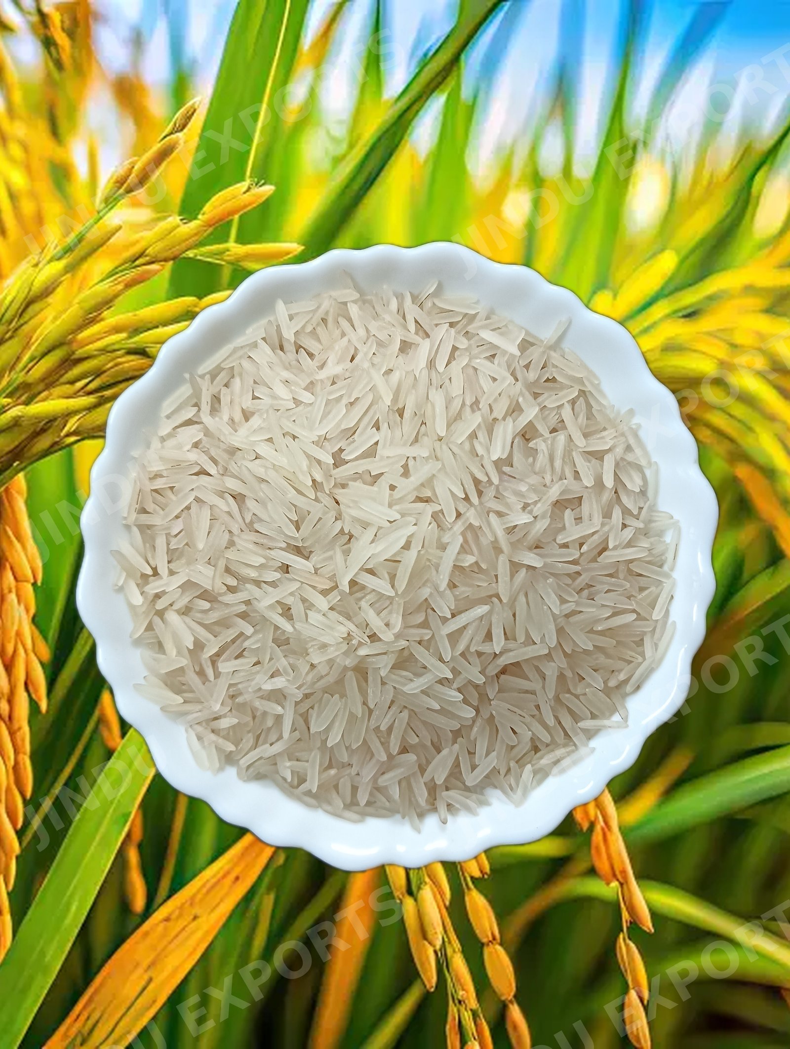 1121 White Sella Basmati Rice (Organic & Regular)