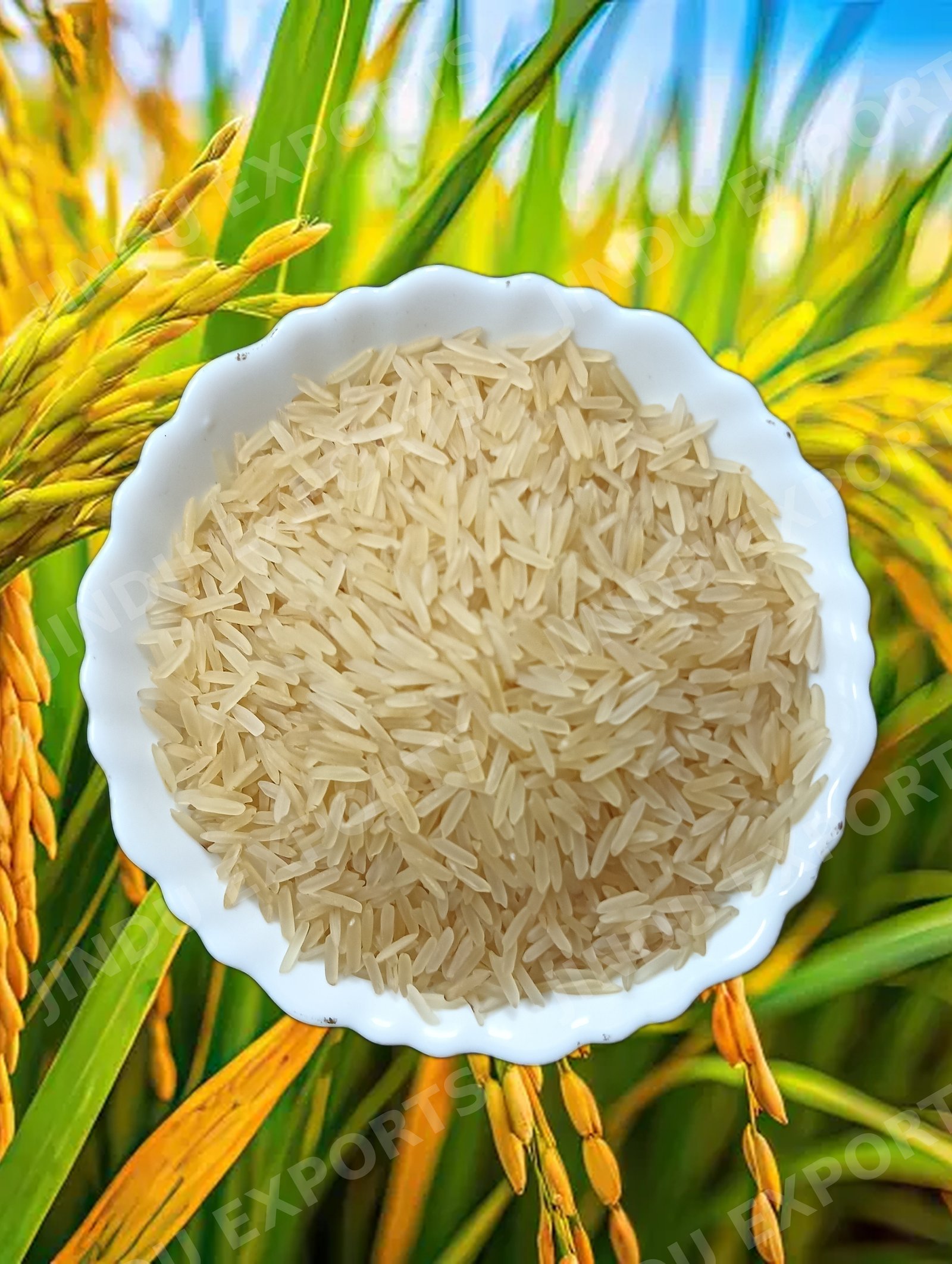 1121 Golden Sella Basmati Rice (Organic & Regular)