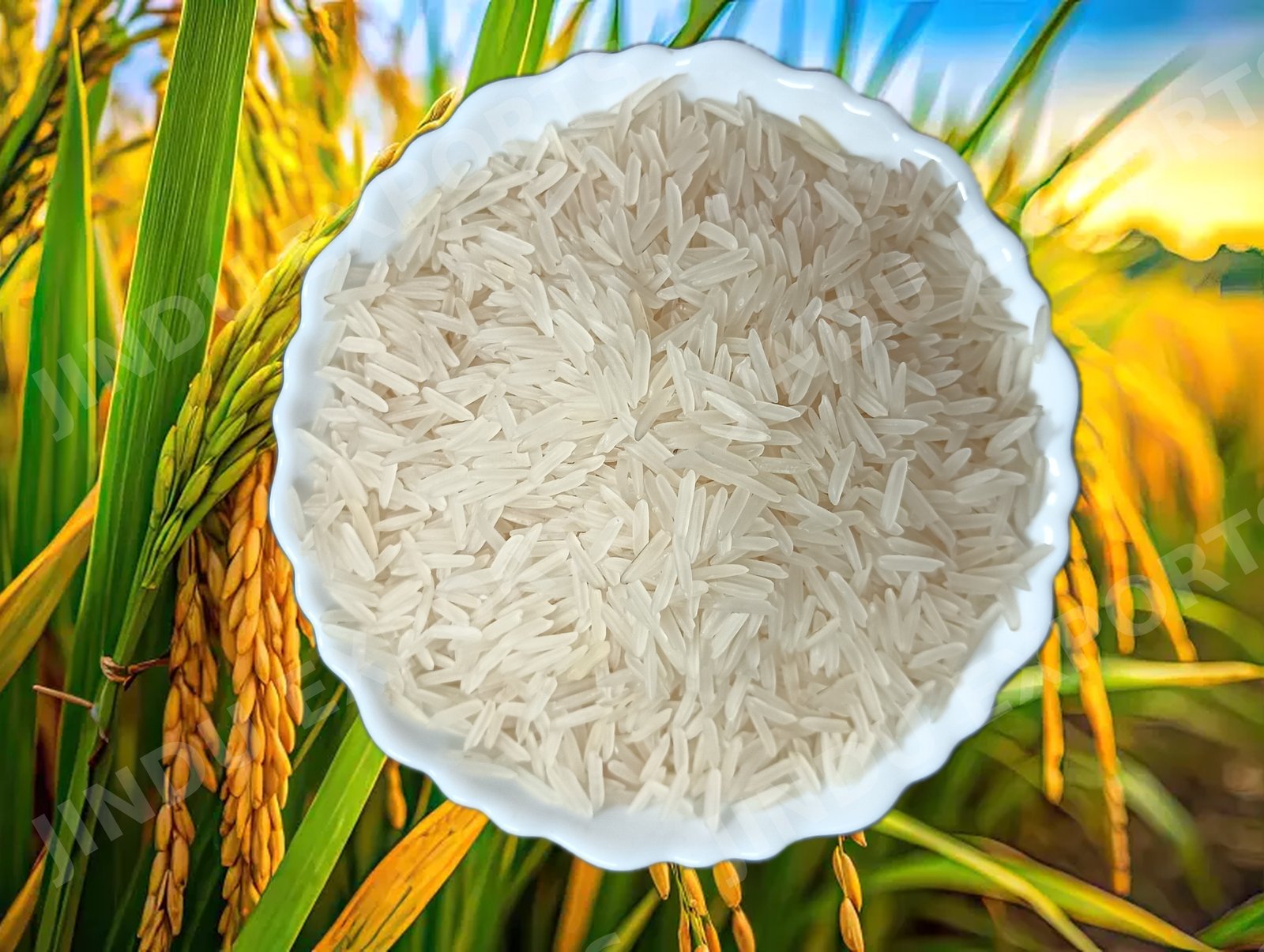 1121 Steam Basmati rice (Organic & Regular)