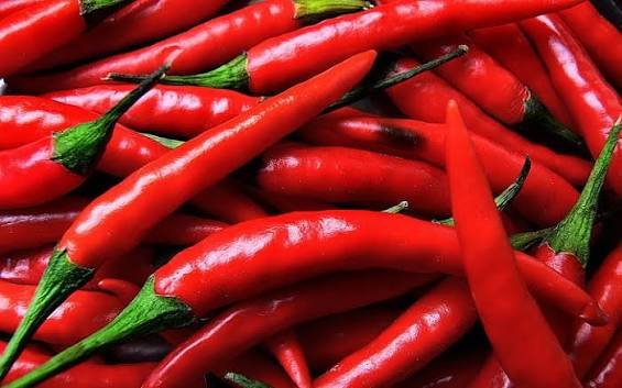 Guntur or Byadagi - Dry Red Chilli