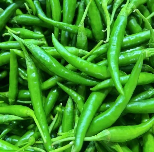 Green Chili - Fresh