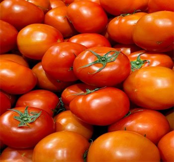 Tomato