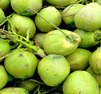 Tender Coconut