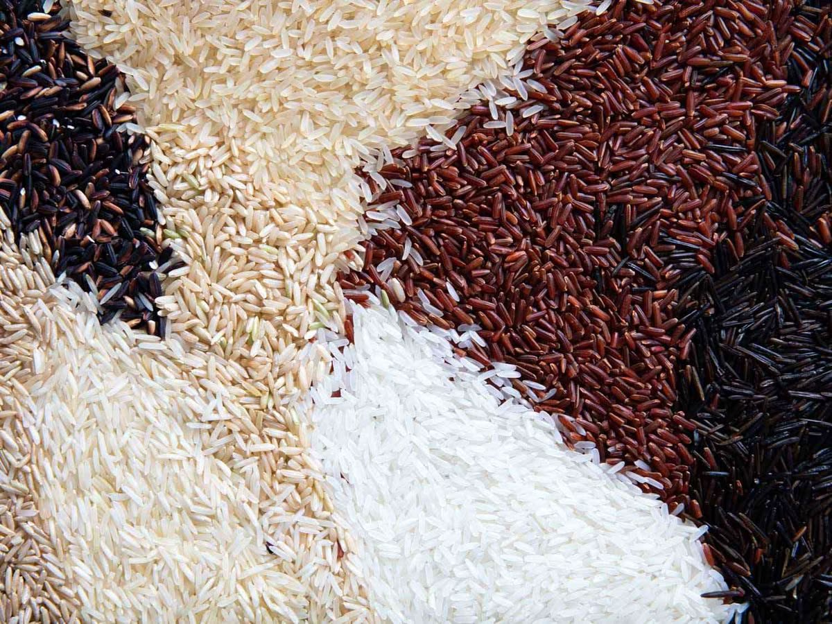Rice (1121, 1509, IR 64, Ponni, Sona Masoori)